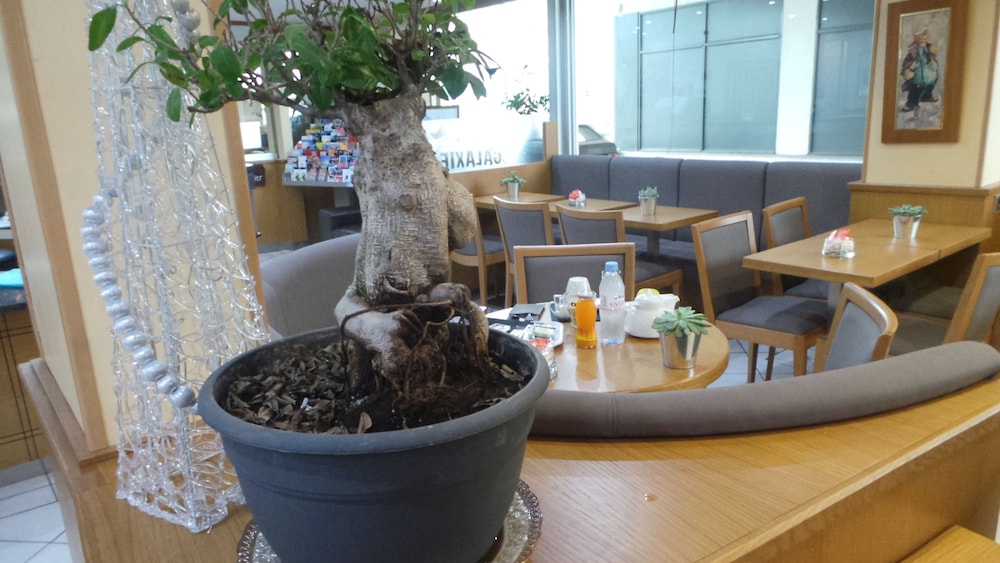 Originals, Hotel Galaxie, Nice Aeroport, CAP 3000 17/26