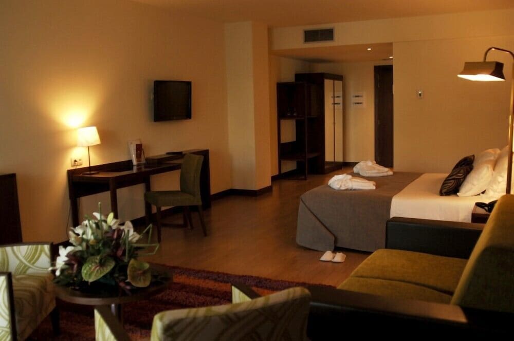 Palace Hotel & Spa Termas De Sao Tiago 33/47