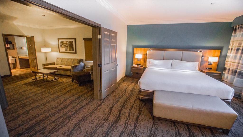 1 Bedroom, Suite