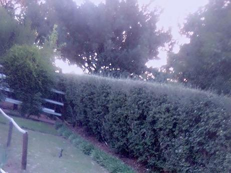 Green Gables Guesthouse 12/13