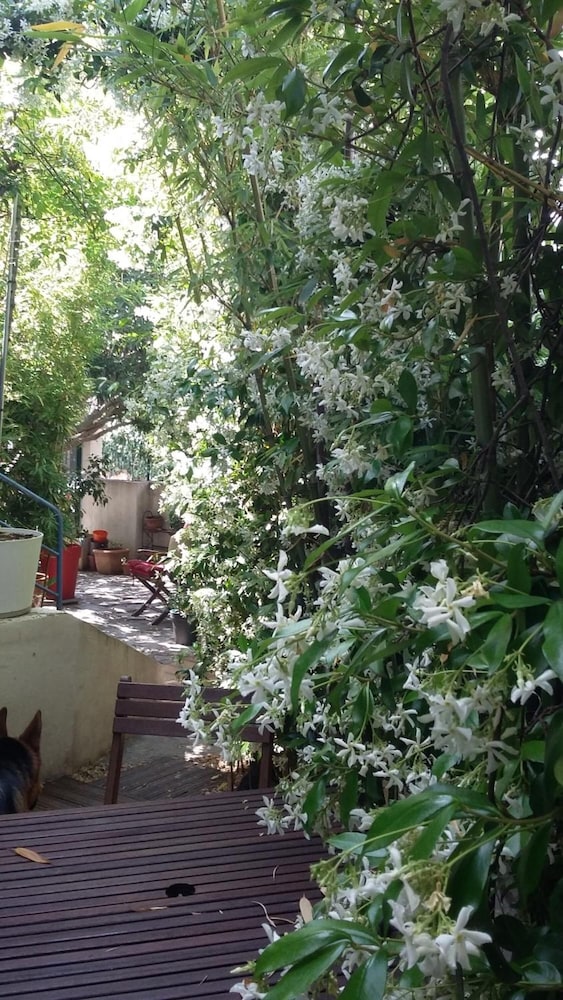 Cielito Lindo 24/30