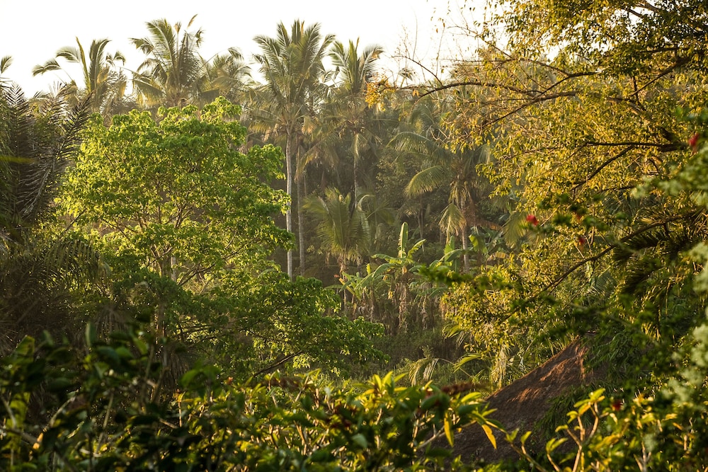 The Payogan Villa Resort and Spa 44/50
