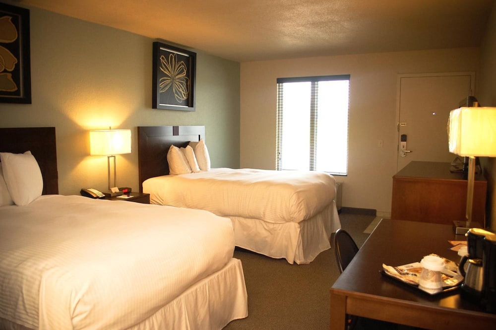 Unique Suites Hotel 12/50