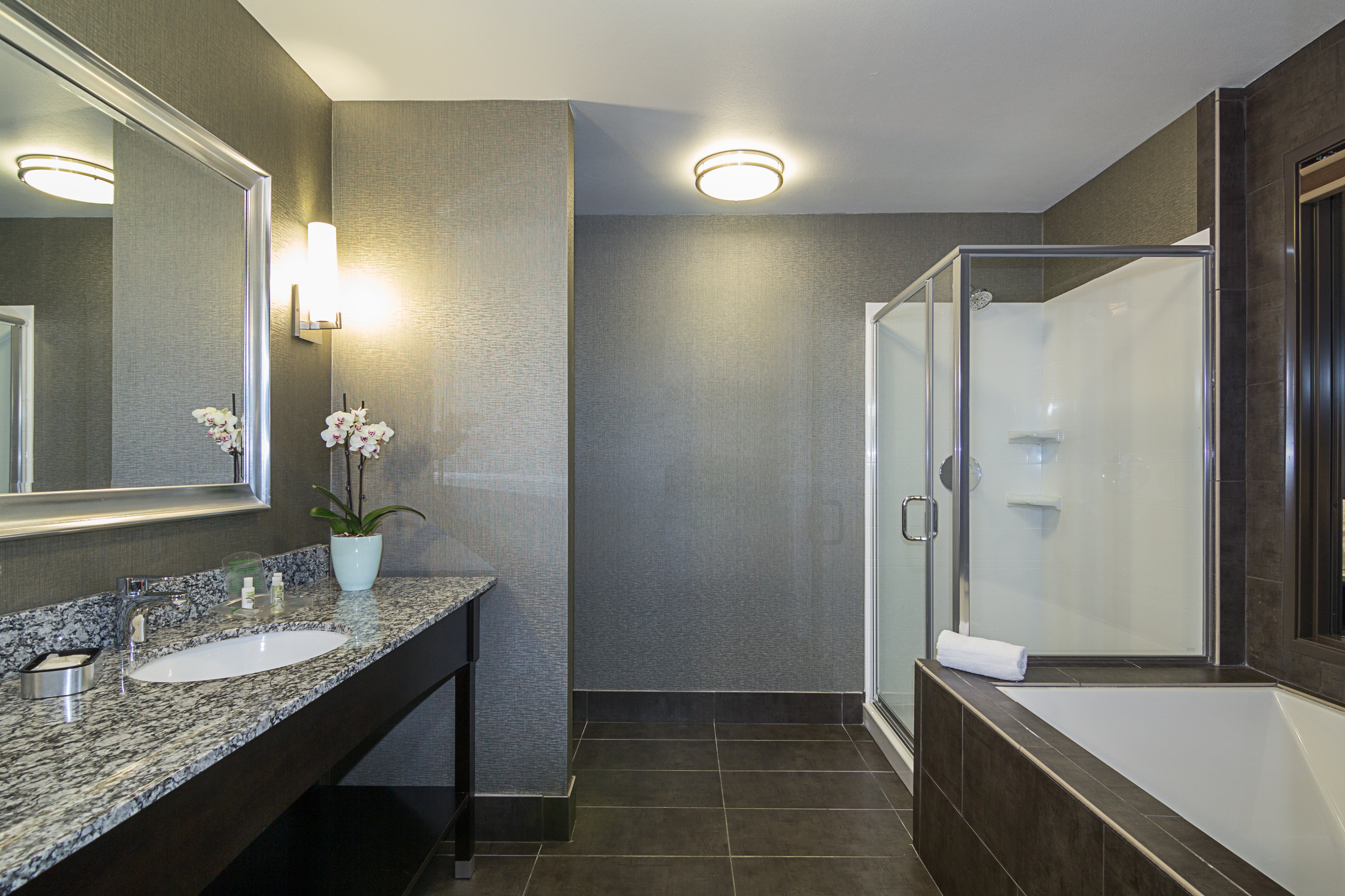 Holiday Inn Hotel & Suites Milpitas 36/36