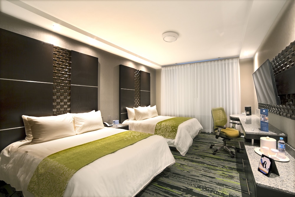 Hotel Araiza San Luis 16/74