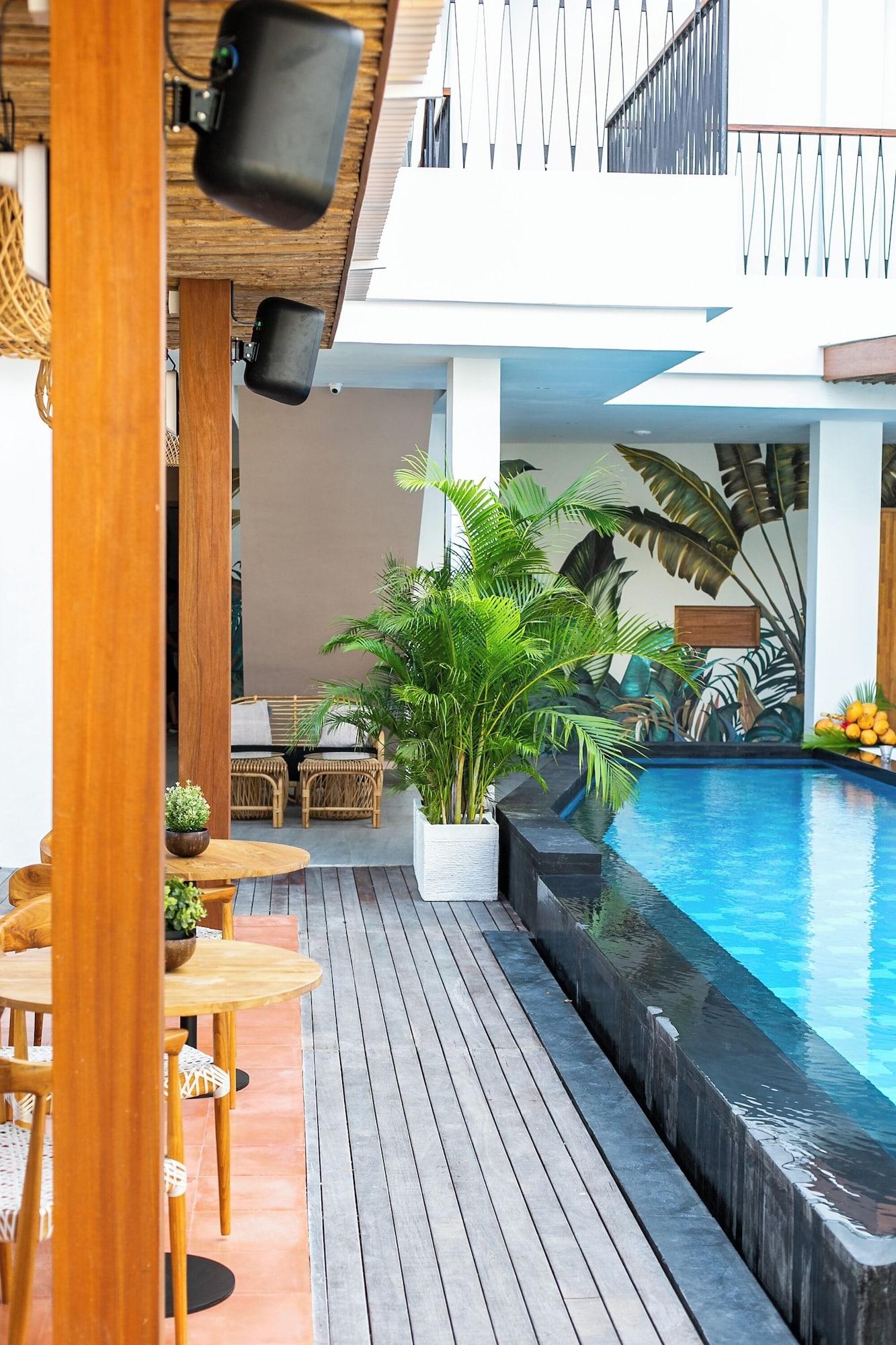 Coco & Pineapple Pants Hostel 44/50