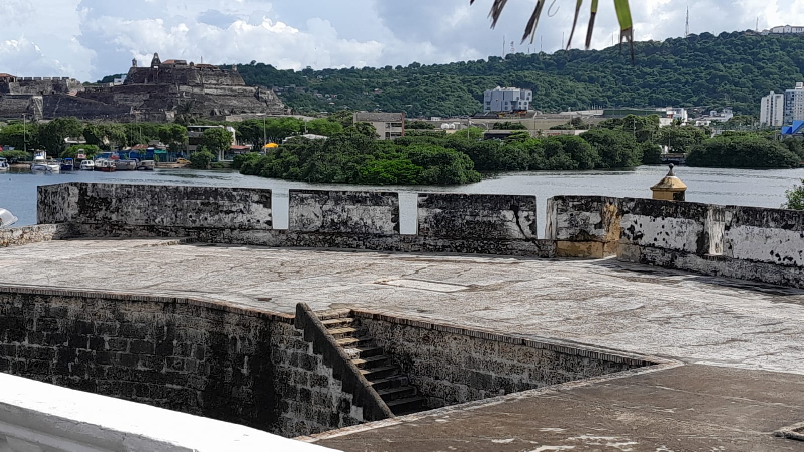 Patio de Getsemani 9/50