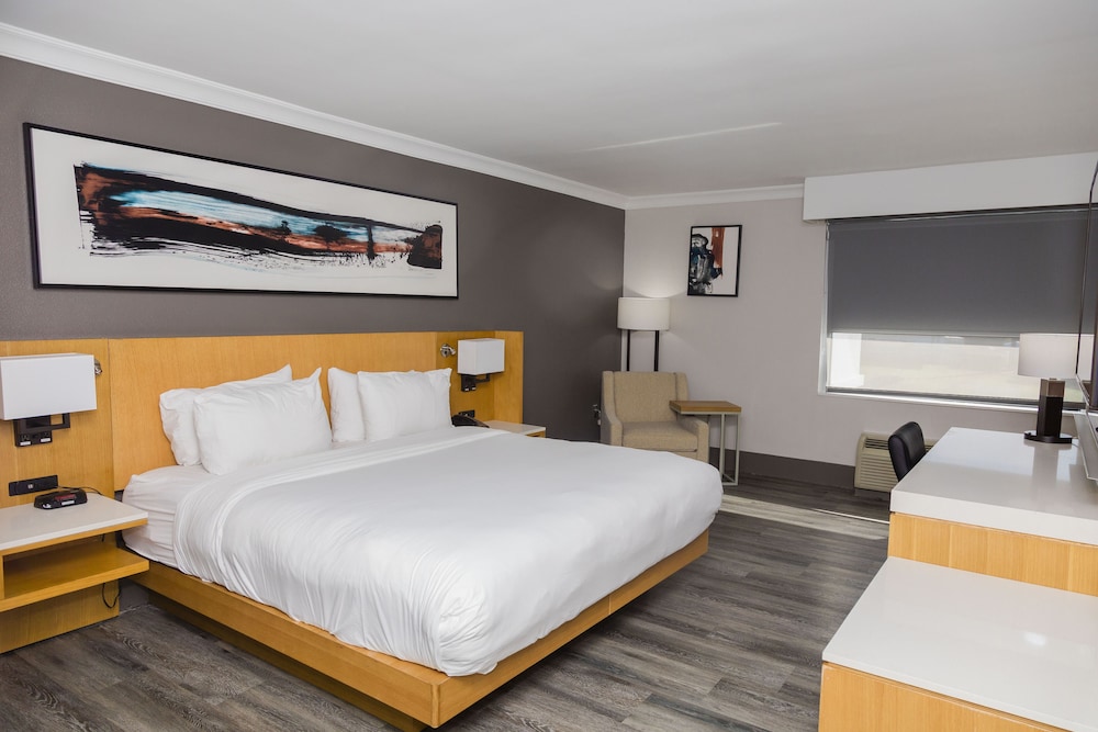 ROOM, KING BED