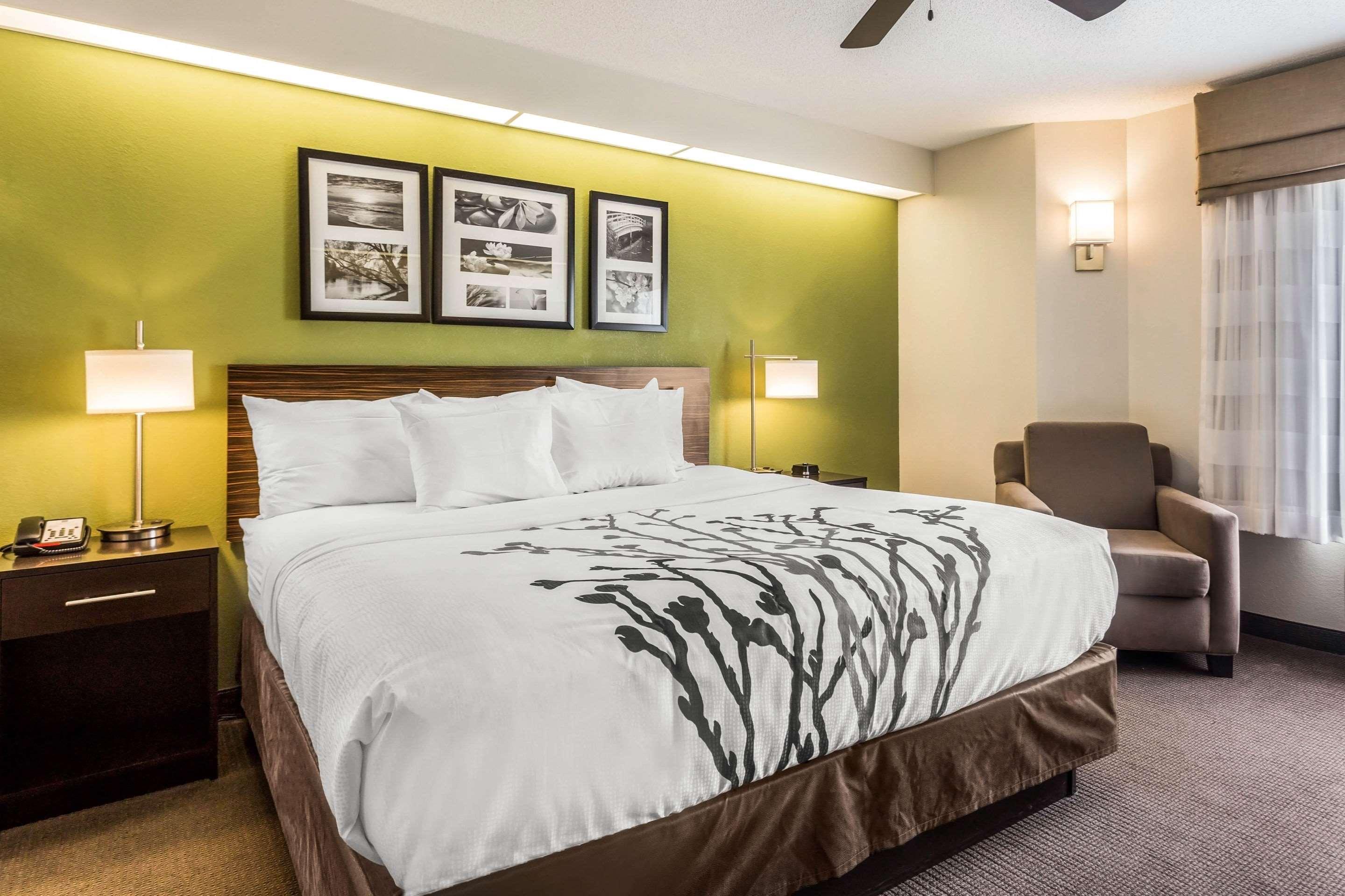 ROOM, KING BED
