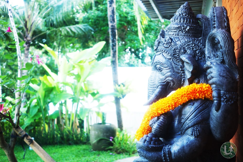 Ubud Tropical 33/44