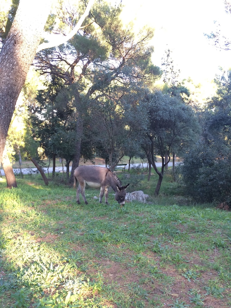 surroundings