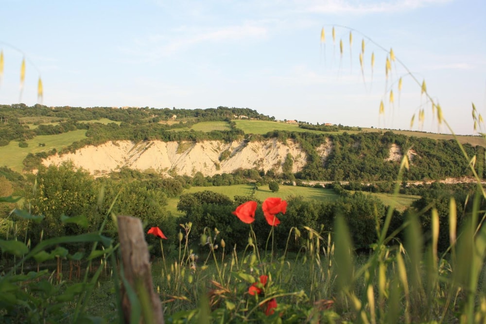 Agriturismo I Sicomori 35/48