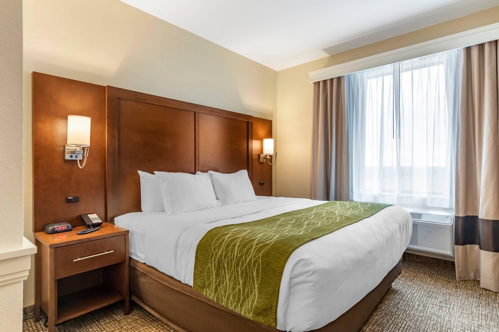SUITE, KING BED