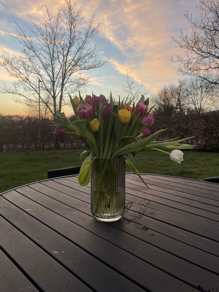 Helts B&amp;B 38/50