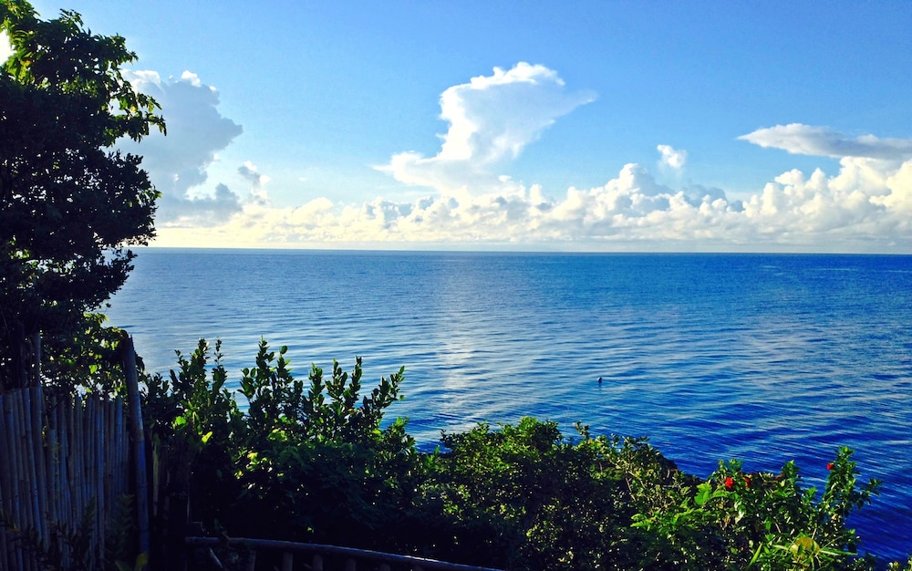 Bohol Lahoy Dive Resort 29/47