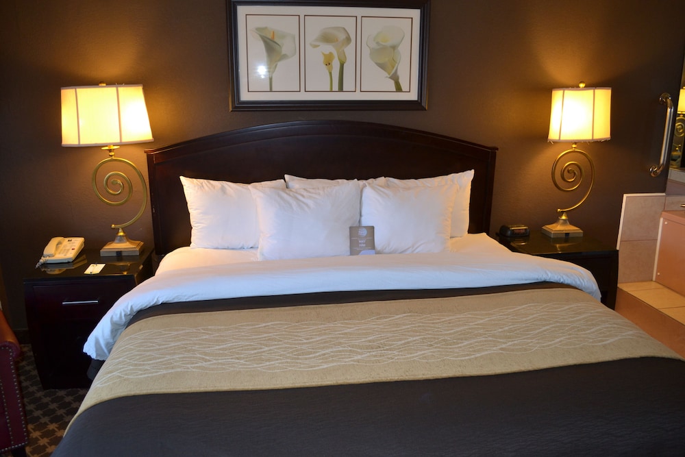Quality Inn Ithaca - University Area 16/44
