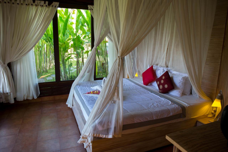 Deluxe, Jungle View