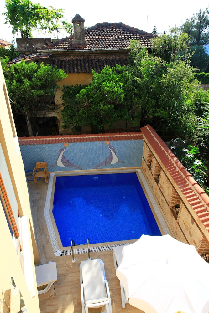 Bacchus Pension 24/49