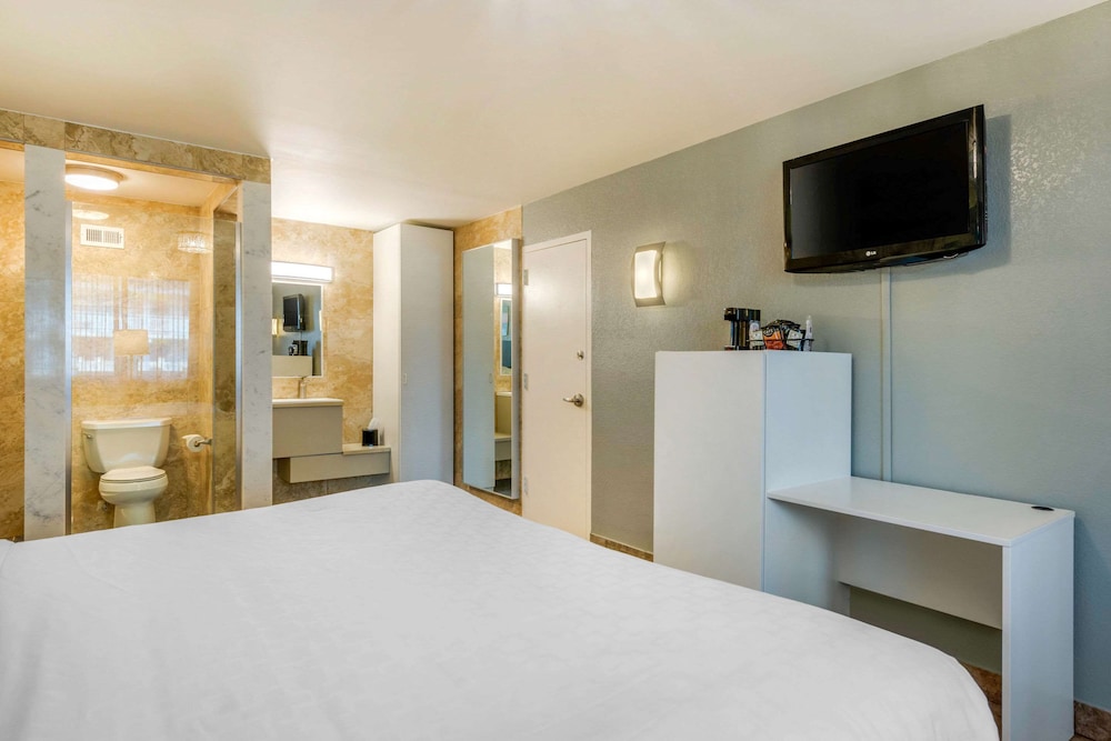 Quality Inn and Conference Center Tampa-Brandon 21/42