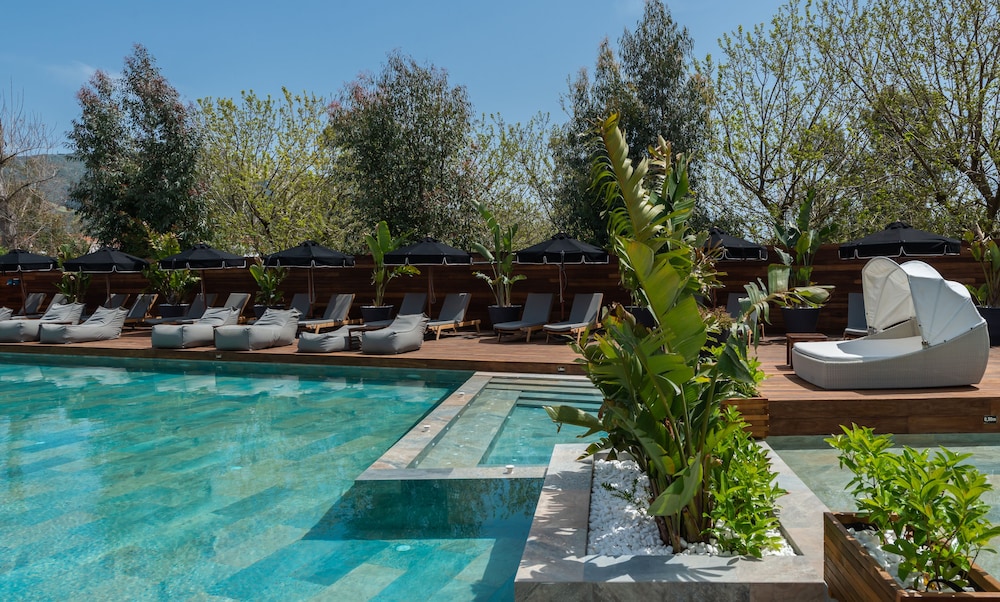 Bitzaro Palace Hotel 46/56
