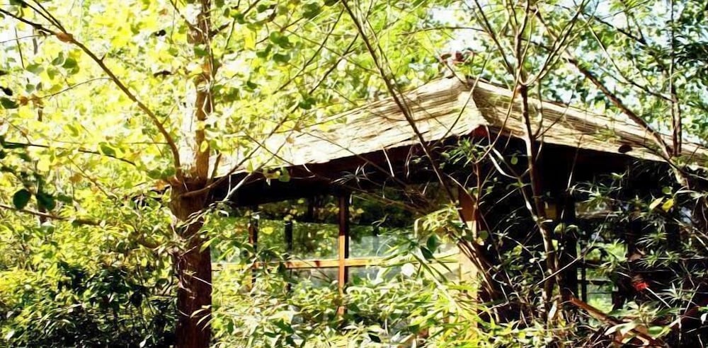 The Tree House Resort 33/35