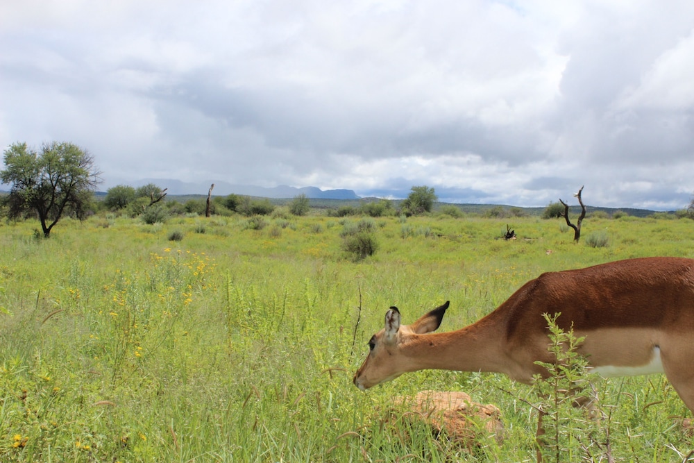 Auas Safari Lodge 44/49
