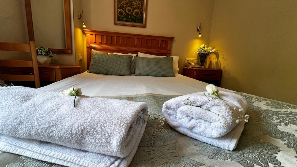 Star Hotel Taksim 27/61