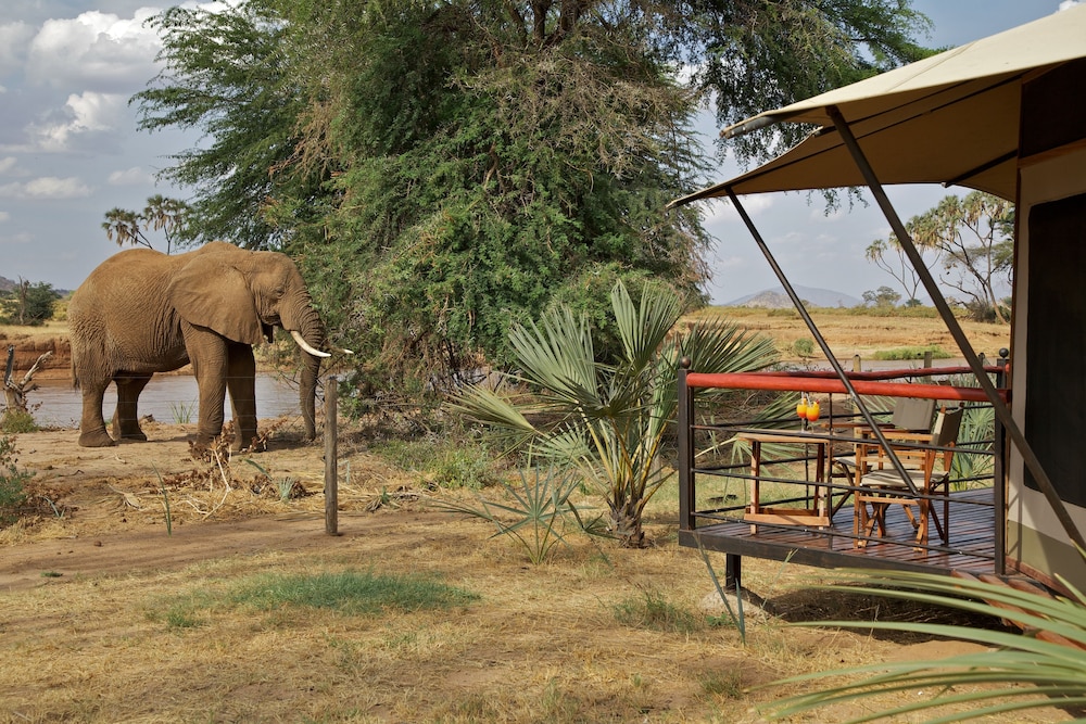 Ashnil Samburu Camp 45/50