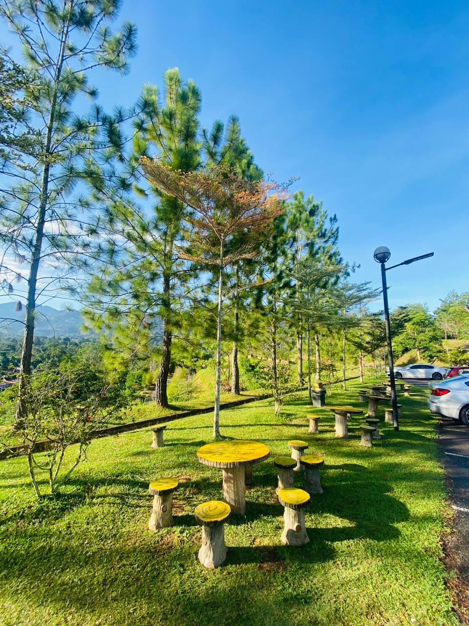 Royale Bintang Janda Baik 58/67