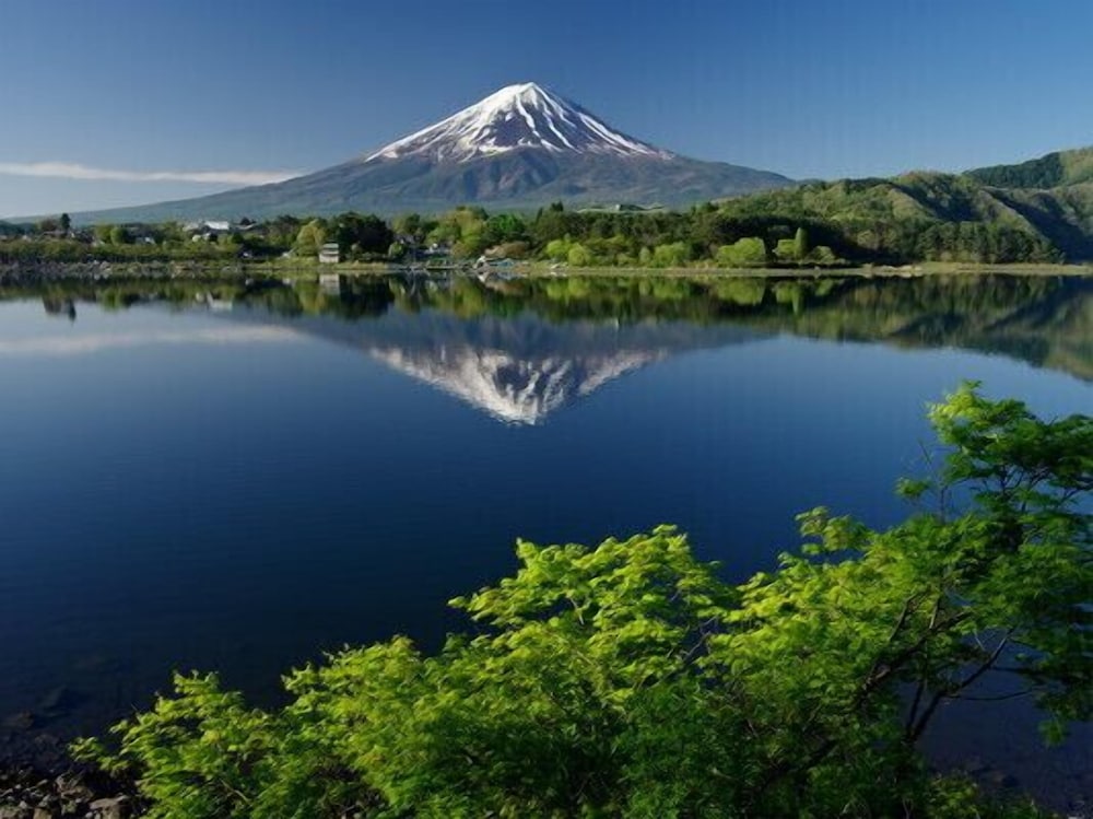 Fuji Premium Resort 44/50