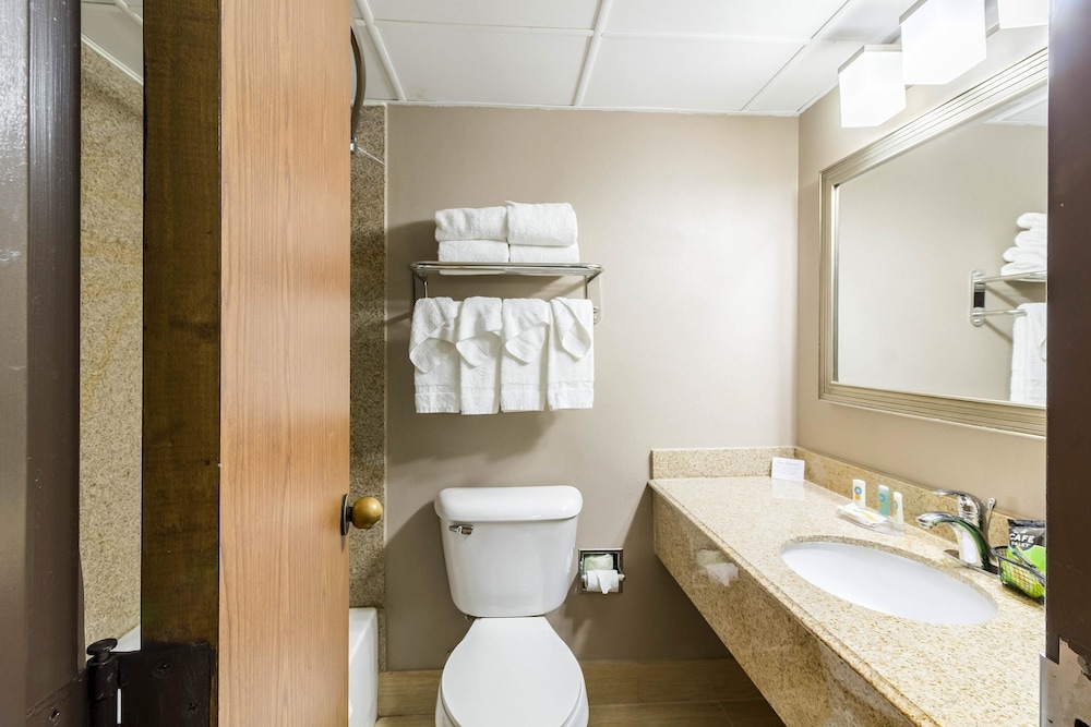 Quality Inn & Suites Arden Hills - Saint Paul North 12/37