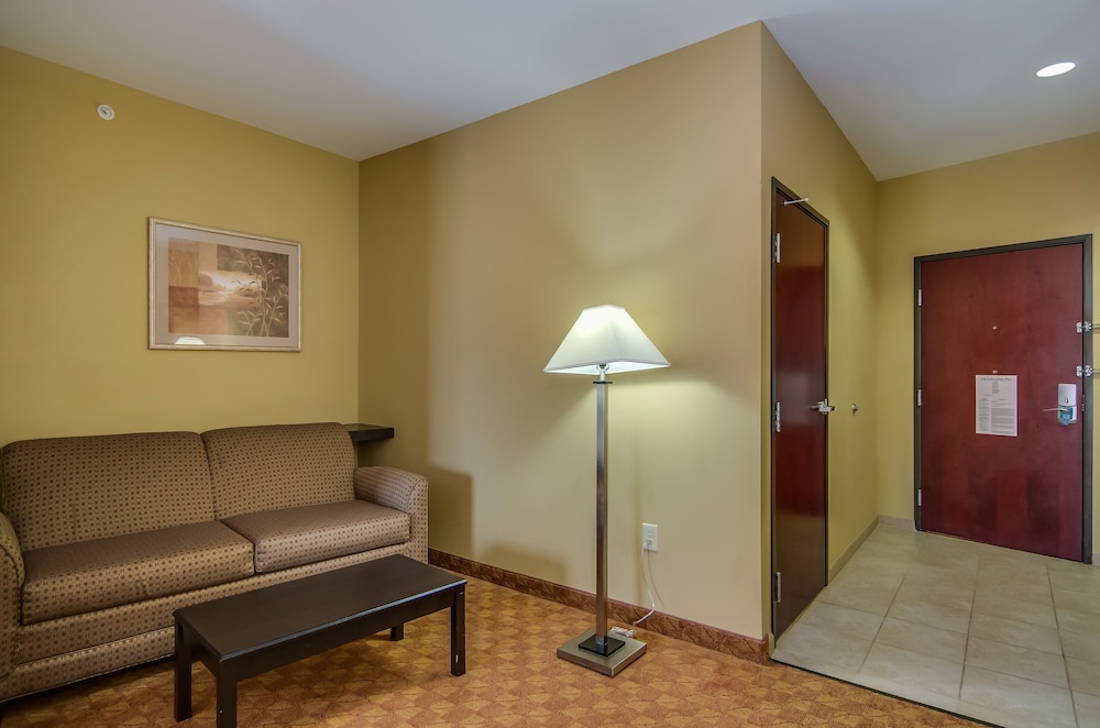 Comfort Suites Old Town Spring, TX 32/44