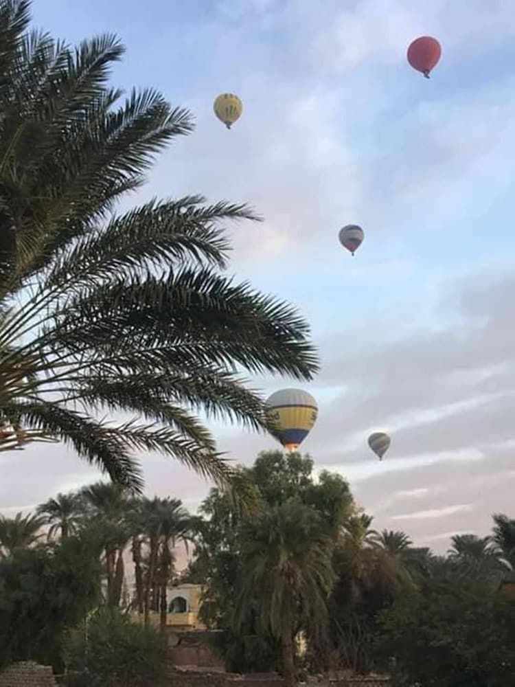 Amenophis Hotel 47/50
