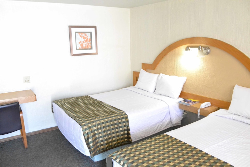 Hotel Flamingo Juarez 14/30