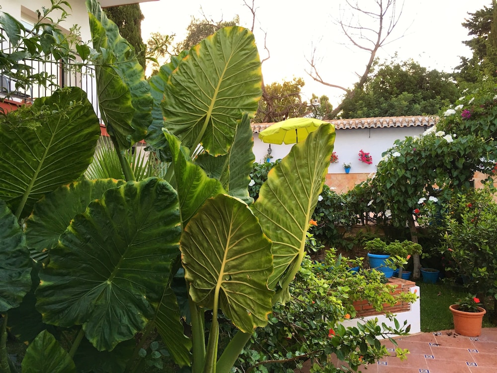 Hotel Carmen Teresa 19/72