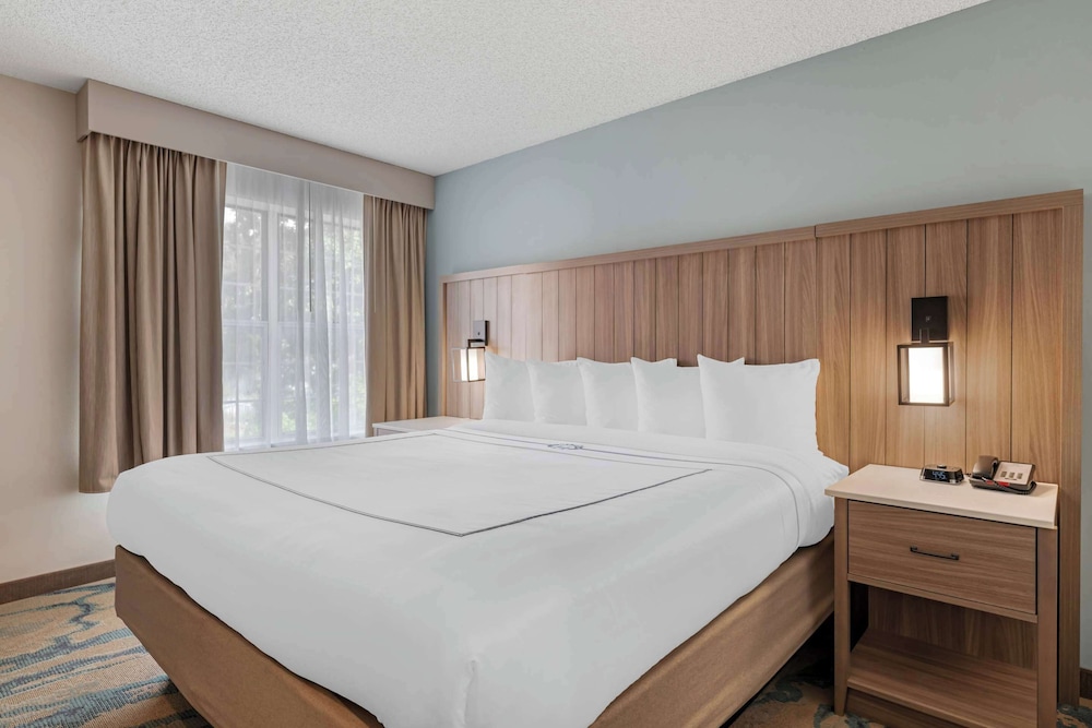 Upgrade, Suite, 1 King and 1 Single Beds, Sofa