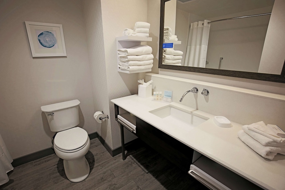 Hampton Inn & Suites Asheville Biltmore Area, NC 12/46