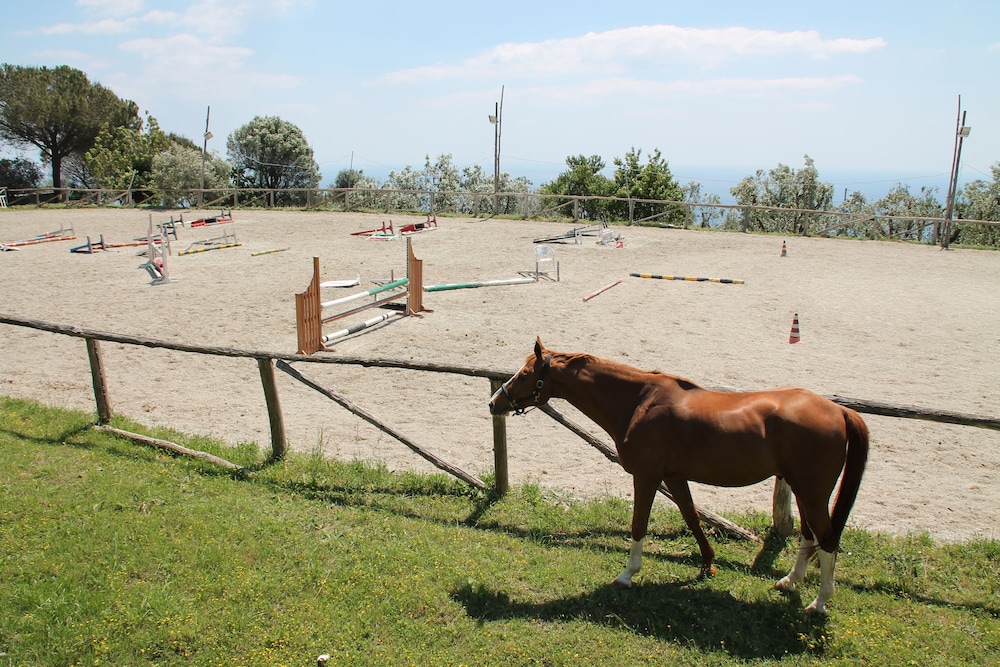 Agriturismo Piccolo Paradiso 51/74