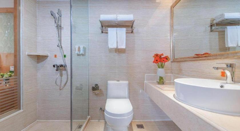 Vienna Hotel (Guilin Xing'an) 53/54