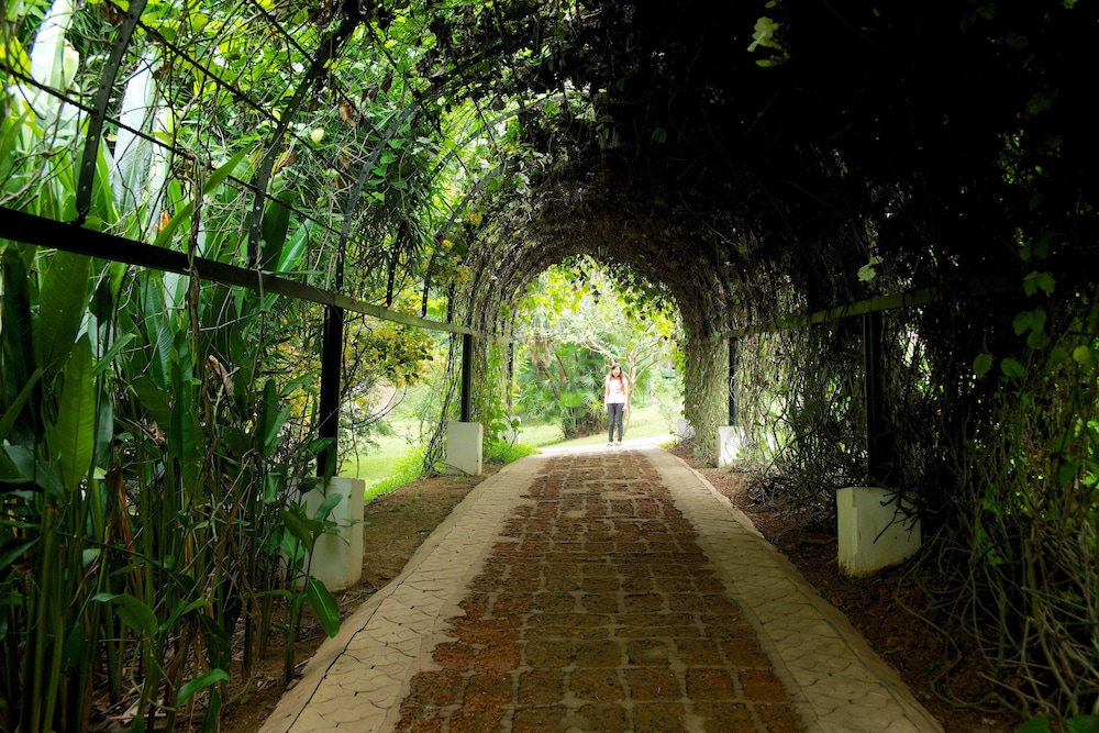 The Travancore Heritage Beach Resort 66/69