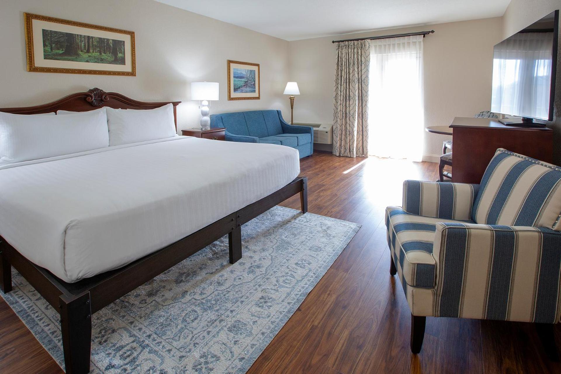 Mountain, Superior, King Bed, Water Park View