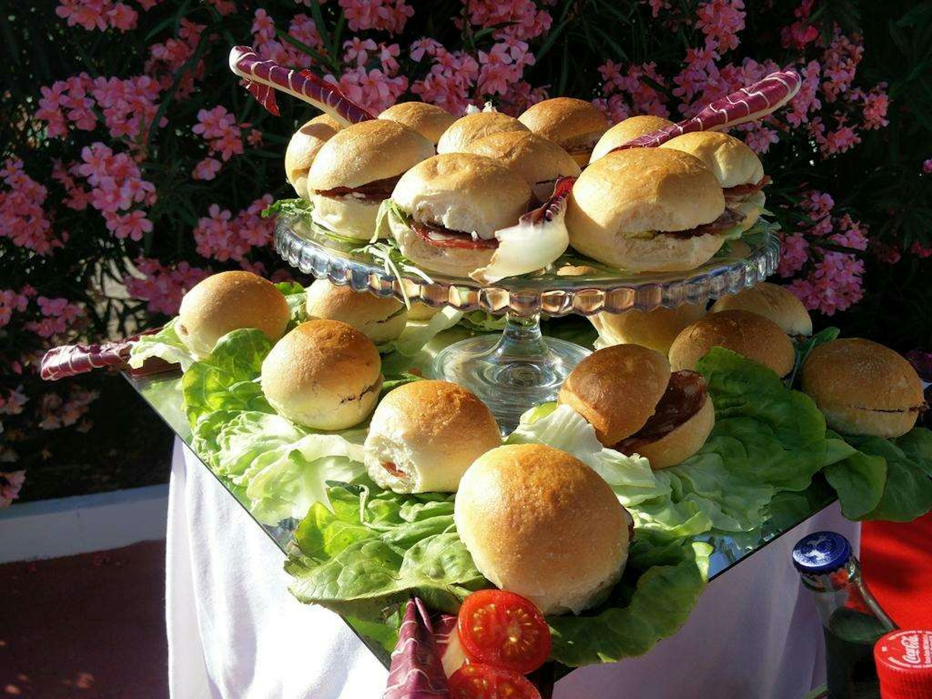 International Resort 12/24