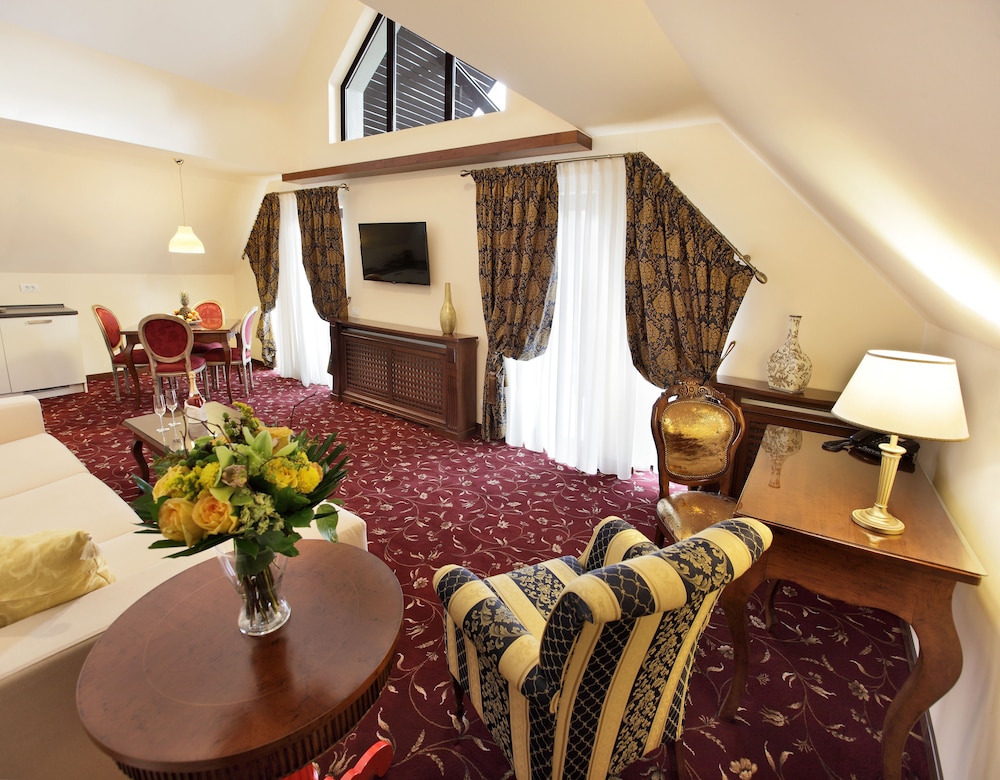 HOTEL BOUTIQUE BELVEDERE SINAIA 36/60