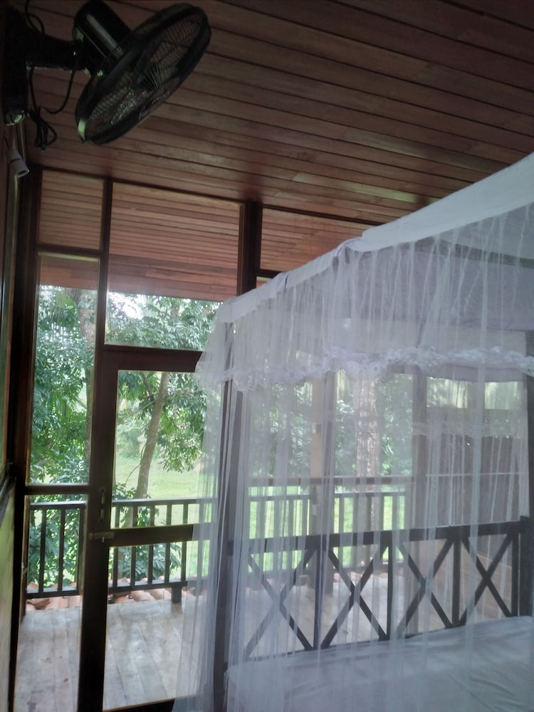 Green Herbal Ayurvedic Eco-Lodge 31/54