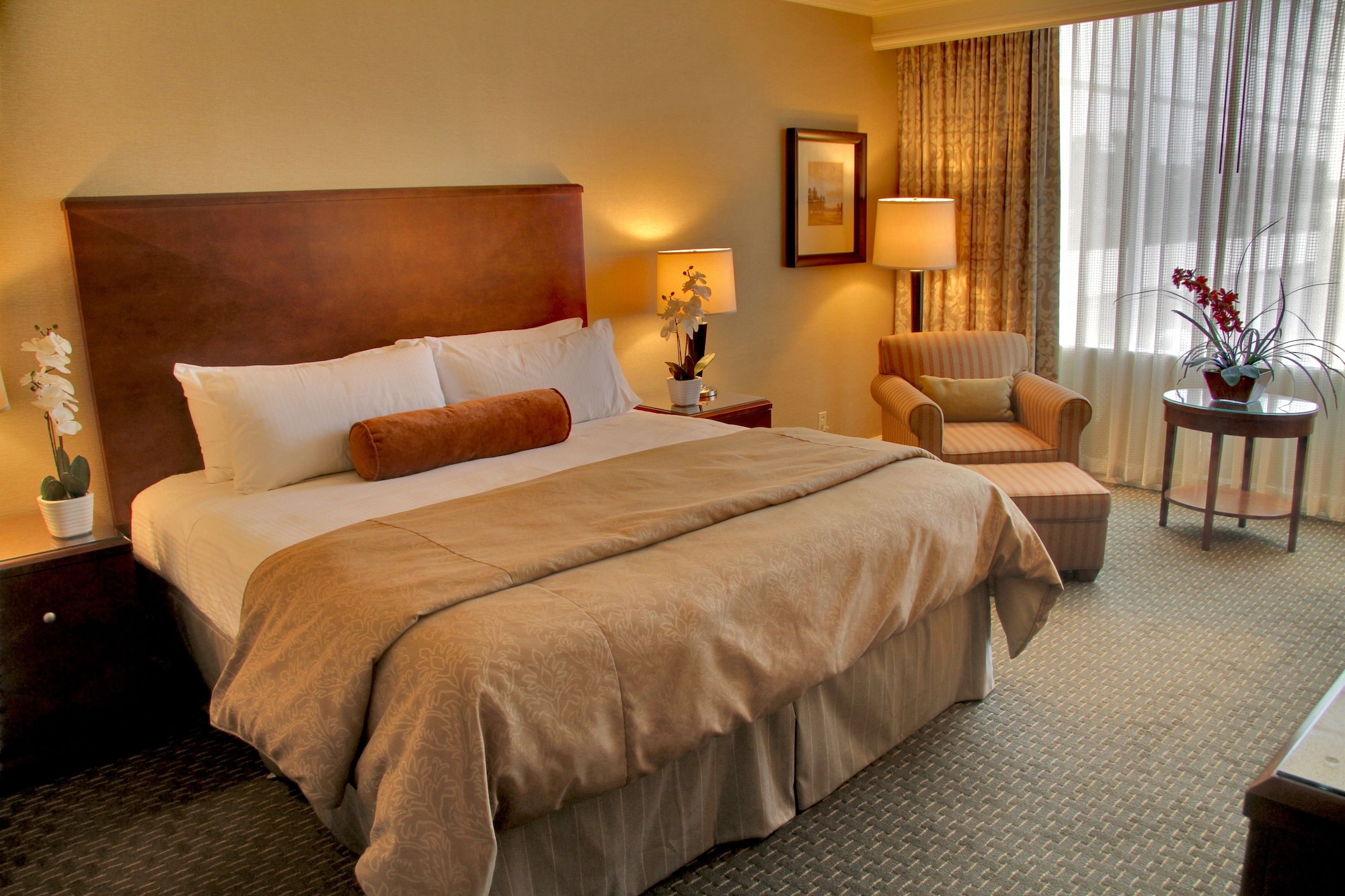 ROOM, KING BED