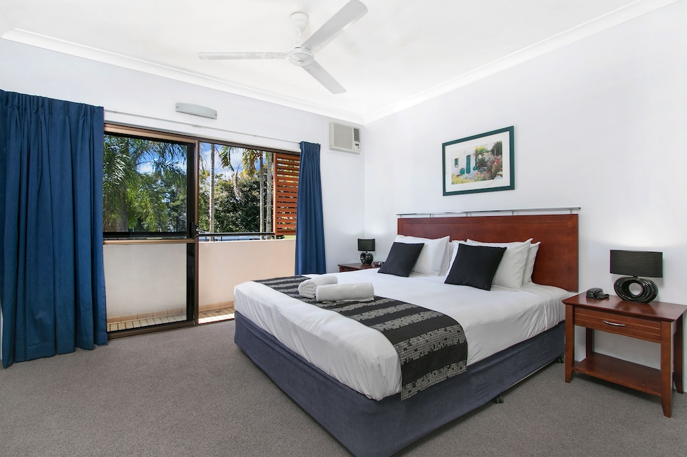 CAIRNS CITY PALMS 21/59