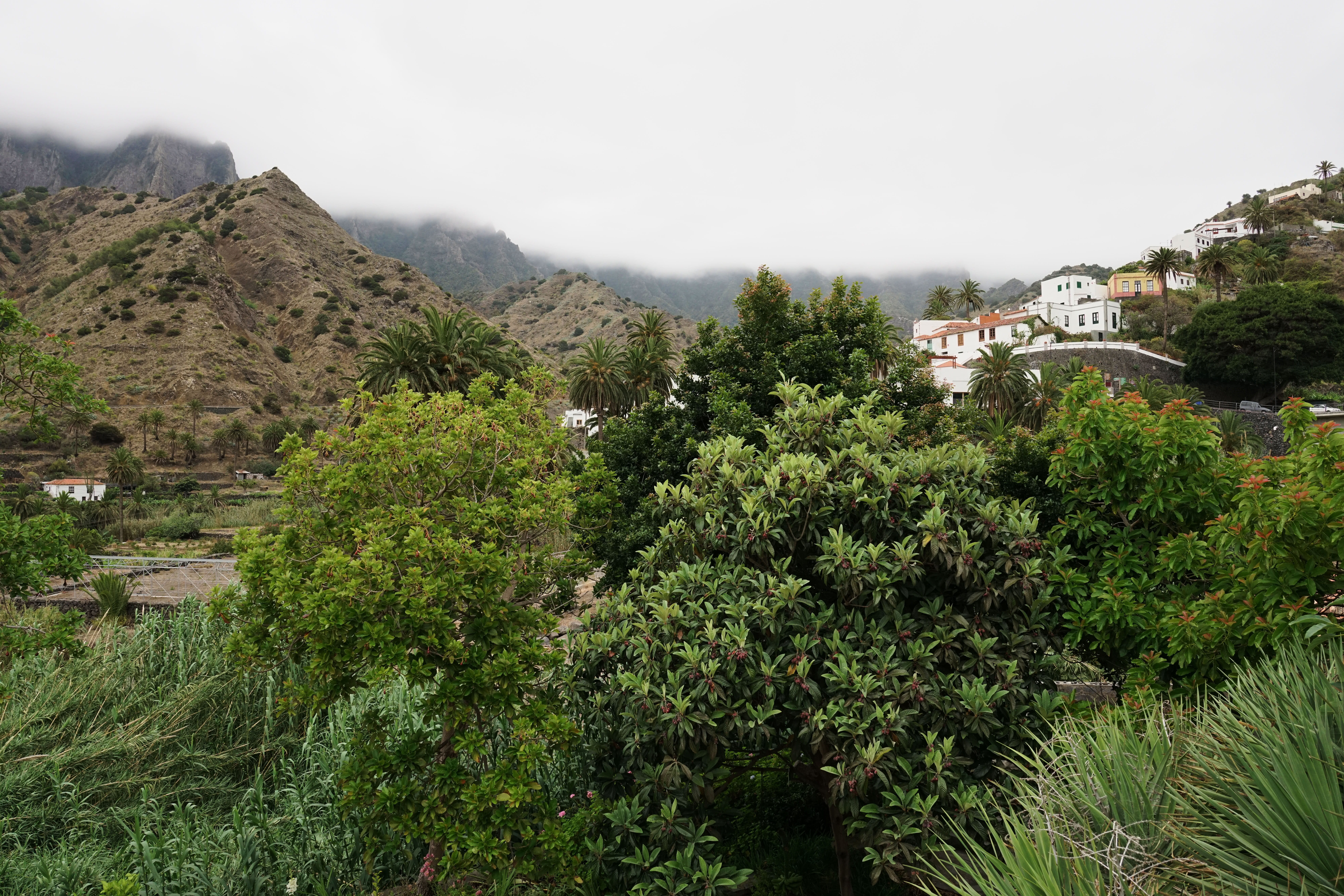 Finca Pinero 22/29