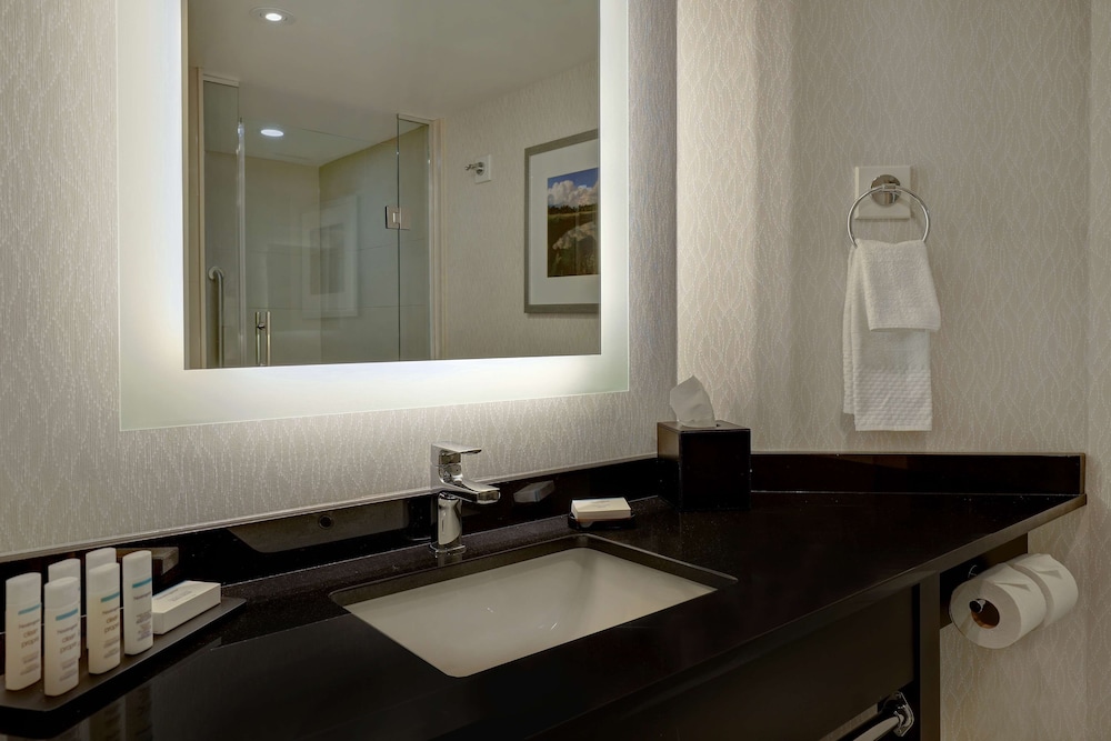 Embassy Suites By Hilton Niagara Falls Fallsview 30/52