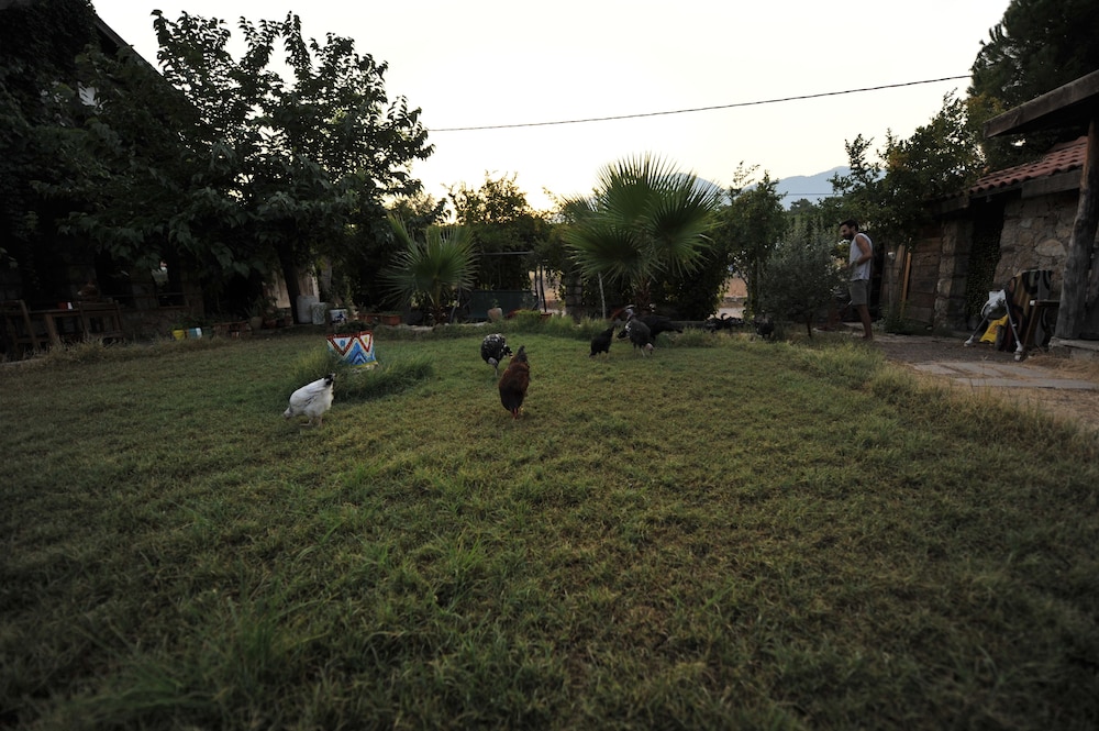 Koyevi Olympos Countryhouse 40/50