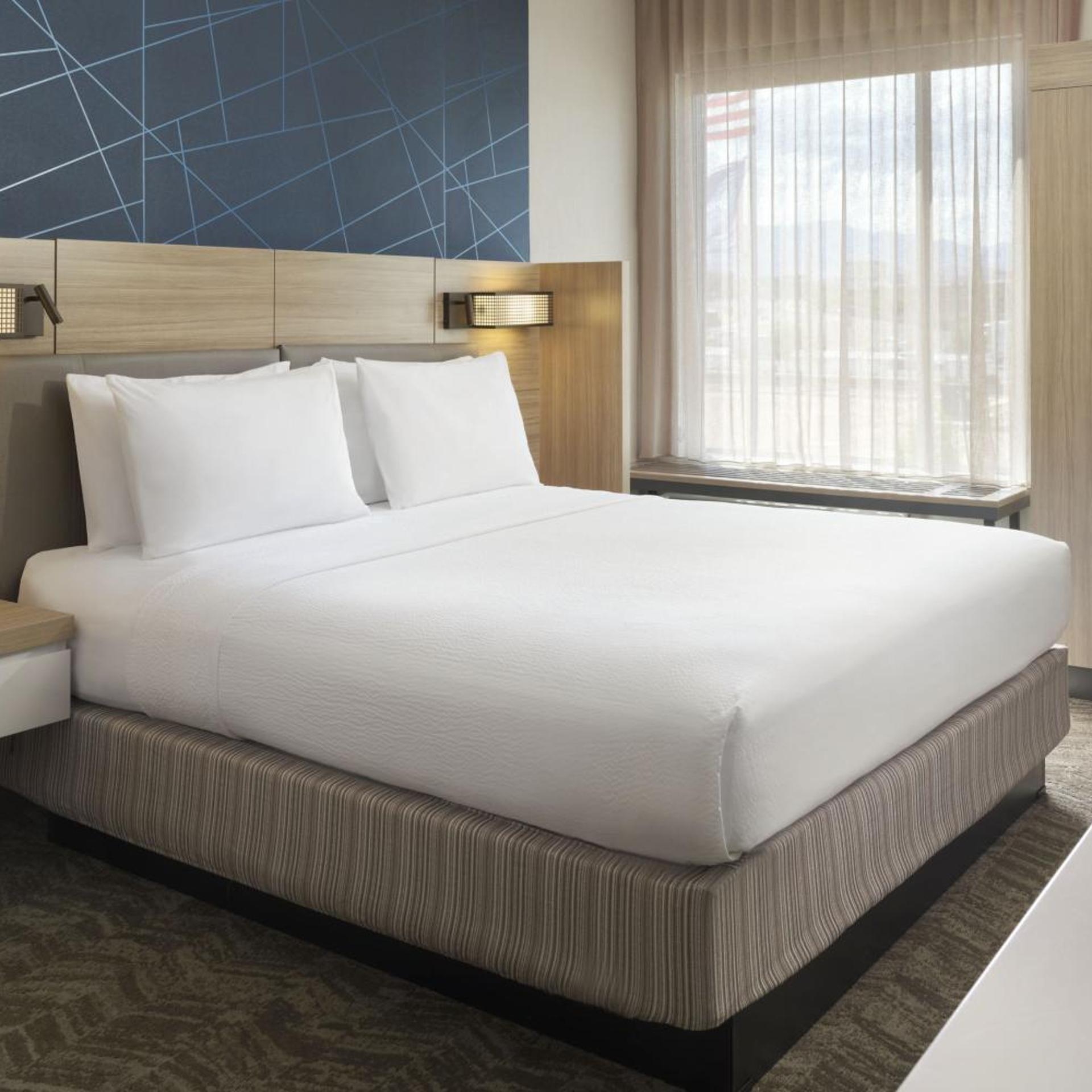Suite, King Bed, Trundle Bed, Sofa, Accessible